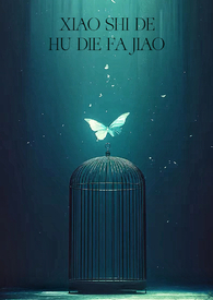 消失的蝴蝶发夹