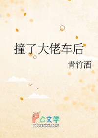 撞了大佬车后