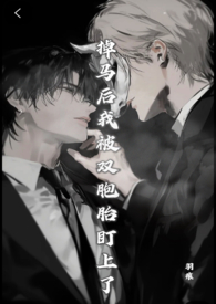 掉马后我被双胞胎盯上了（兄弟丼）